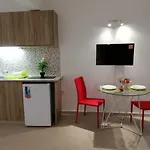 Chicos アヤナパ