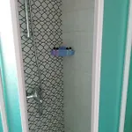 Chicos * アヤナパ