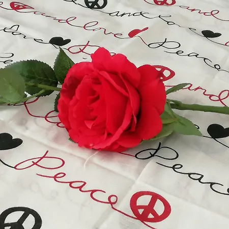 Apartamento Chicos Ayia Napa