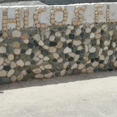 Chicos * Ayia Napa