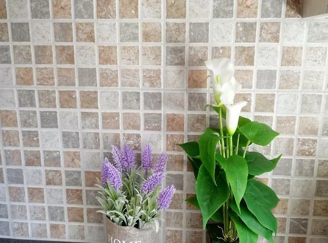 Chicos Appartamento Ayia Napa